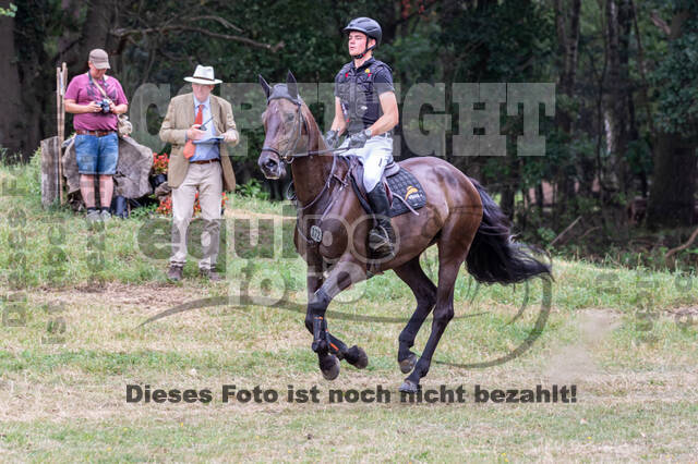 Late-Entry Vielseitigkeit Hamminkeln/Wesel (01.+02.08.2020)