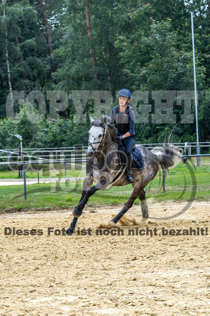 Hunter Geländetraining 10.07.2021 (Sonsbeck)