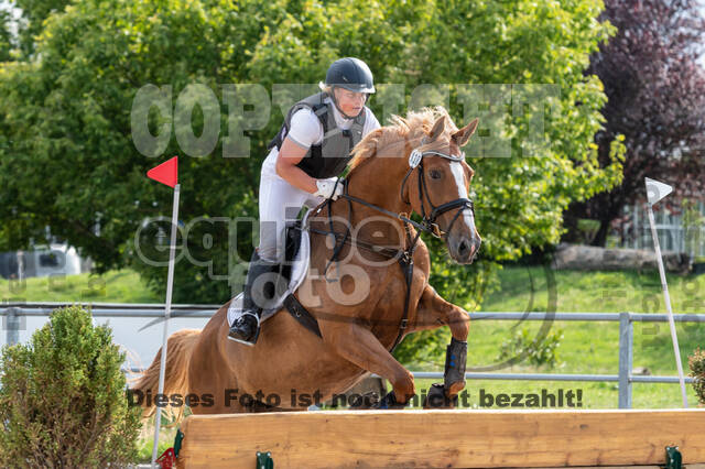 Late-Entry-Vielseitigkeit Langenfeld (06.+07.07.2020)