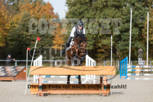 IGV Lehrgang der Sieger der Cups mit Frank Ostholt