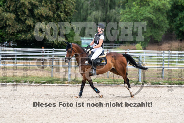 Late-Entry-Vielseitigkeit Langenfeld (11.+13./14.06.2020)