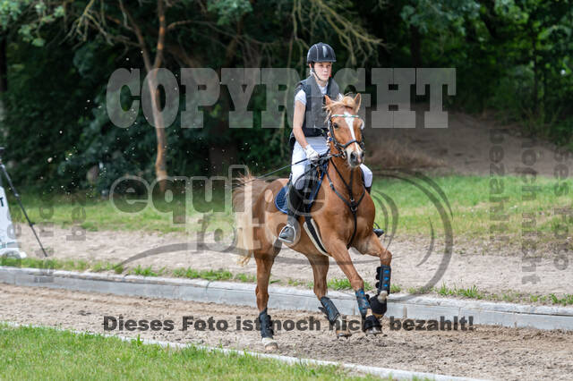 Late-Entry-Vielseitigkeit Langenfeld (11.+13./14.06.2020)