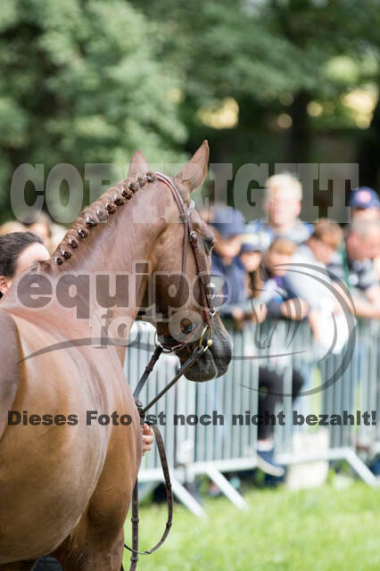 FEI European Championship Eventing 2017