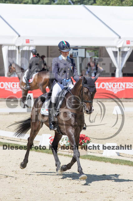 FEI European Championship