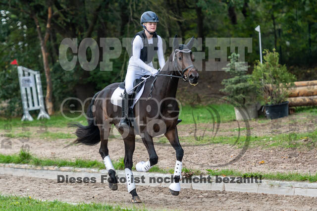 Goldene Schärpe 2020 - Pferde