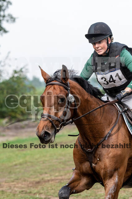 De Peelbergen (August 2020)