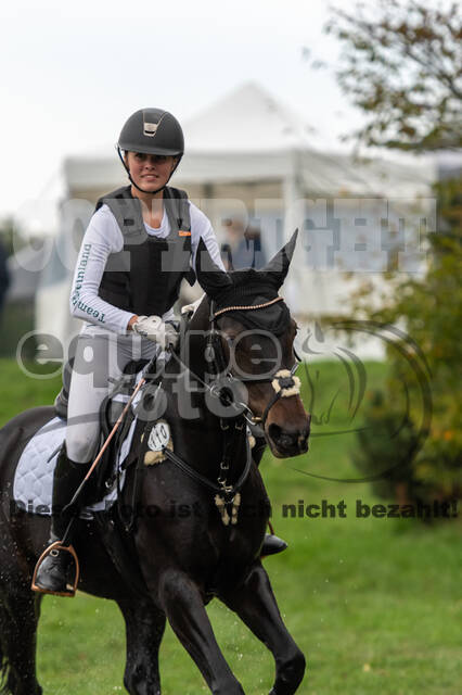 Goldene Schärpe 2020 - Pferde