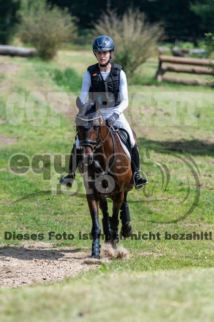 Goldene Schärpe 2021 - Ponys