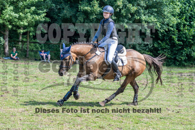 Goldene Schärpe 2021 - Ponys