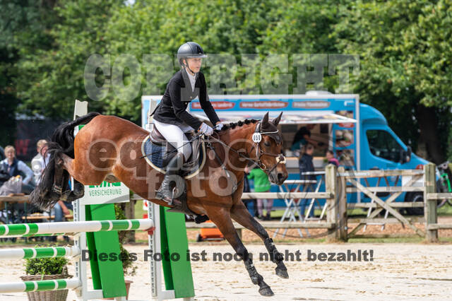 Goldene Schärpe 2021 - Ponys