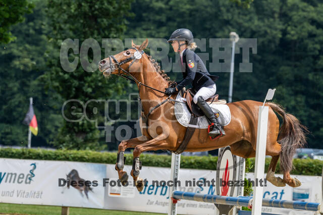 Goldene Schärpe 2021 - Ponys