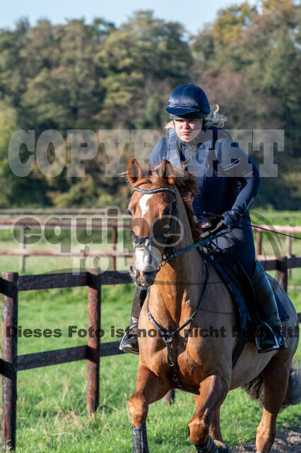 Vielseitigkeitslehrgang mit Jürg Kurbel (9.+10.11.2019)