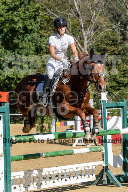 RFV Dinslaken-Hiesfeld (Herbstturnier)