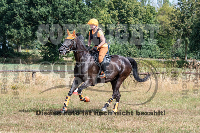 Hunter Geländetraining (16.08.2020)