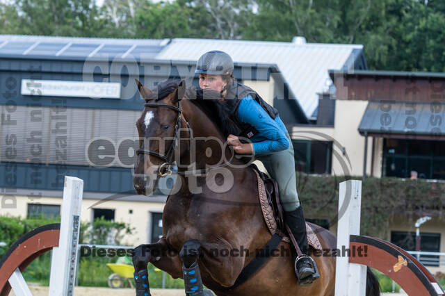 Hunter Geländetraining 10.07.2021 (Sonsbeck)
