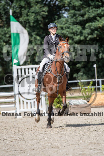 Landesturnier Rheinland, Vielseitigkeit, 22.+23.08.2020