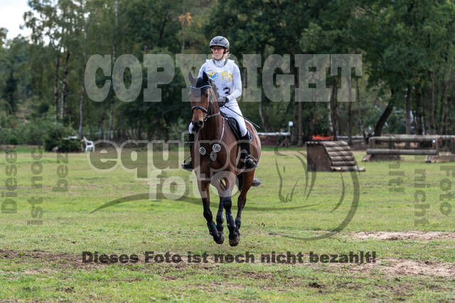 Vielseitigkeit RSV Wesel Obrighoven (26.+27.09.2020)