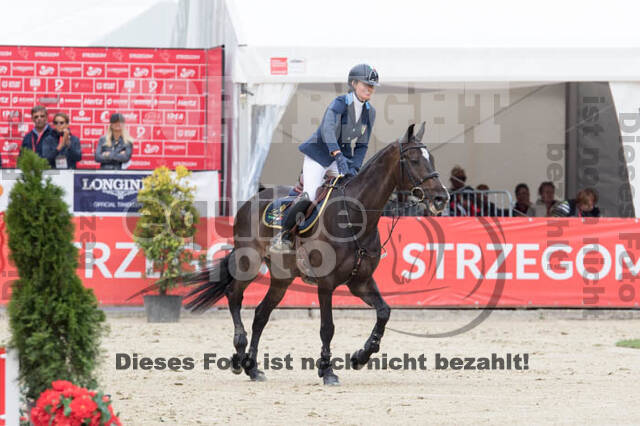FEI European Championship