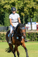 Kronenberg - De Peelbergen (August 2020)
