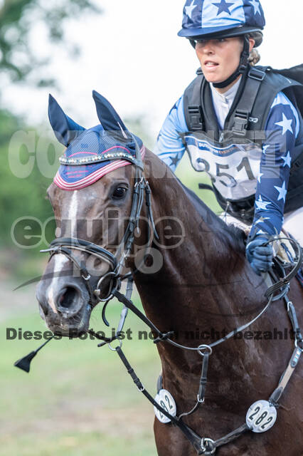 De Peelbergen (August 2020)