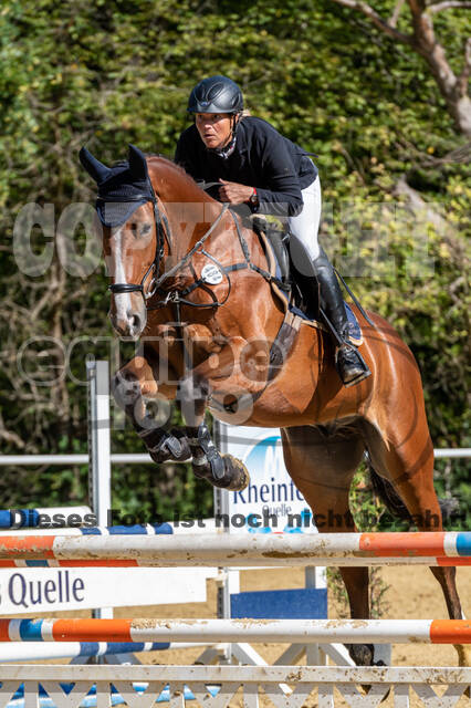 RFV Dinslaken-Hiesfeld (Herbstturnier)