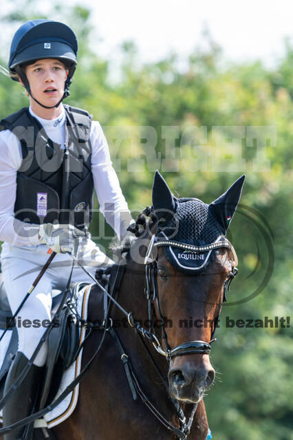 Goldene Schärpe 2021 - Ponys