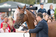 FEI European Championship Eventing 2019