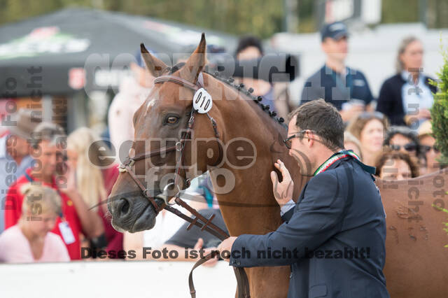 FEI European Championship Eventing 2019