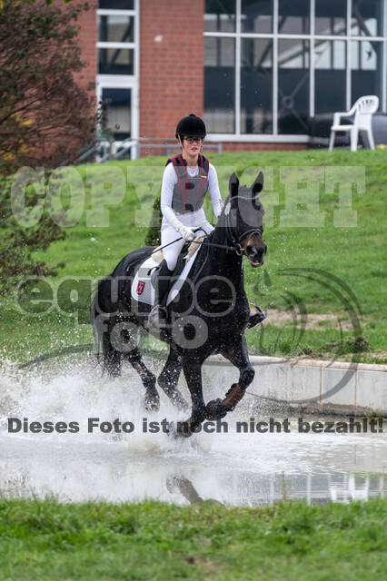 Goldene Schärpe 2020 - Pferde