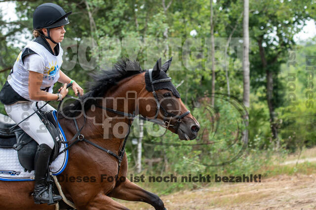 Late-Entry Vielseitigkeit Hamminkeln/Wesel (01.+02.08.2020)