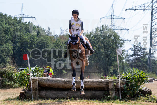 Late-Entry Vielseitigkeit Hamminkeln/Wesel (01.+02.08.2020)