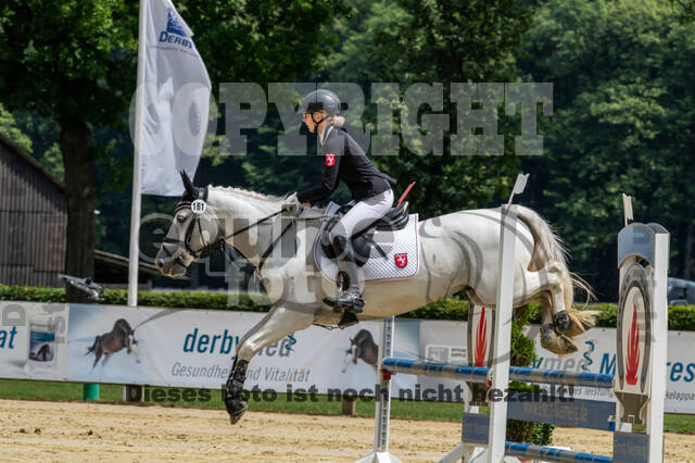 Goldene Schärpe 2021 - Ponys