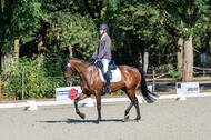 Kronenberg - De Peelbergen (August 2020)