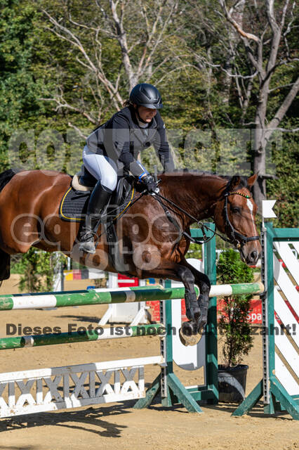 RFV Dinslaken-Hiesfeld (Herbstturnier)