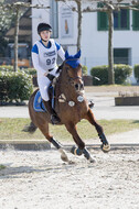Eventing Langenfeld