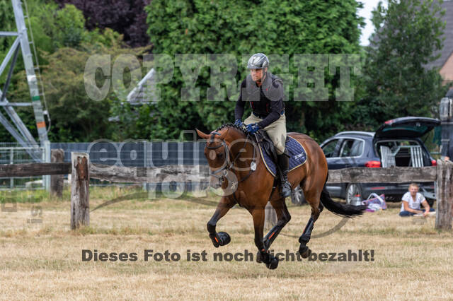 Late-Entry Vielseitigkeit Hamminkeln/Wesel (01.+02.08.2020)