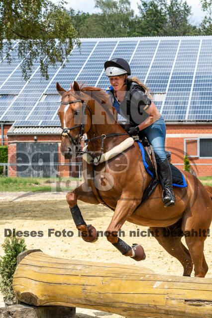 Hunter Geländetraining 10.07.2021 (Sonsbeck)