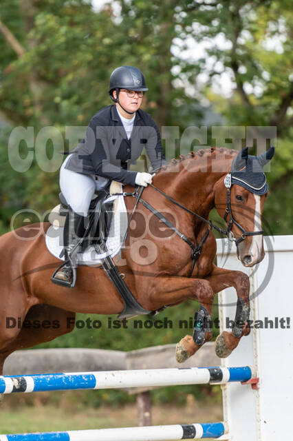 Vielseitigkeit RSV Wesel Obrighoven (26.+27.09.2020)