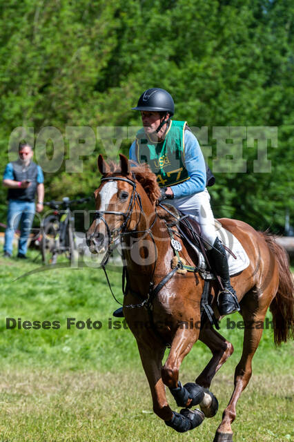 Westerstede Horse Trials (10.-13.06.2021)