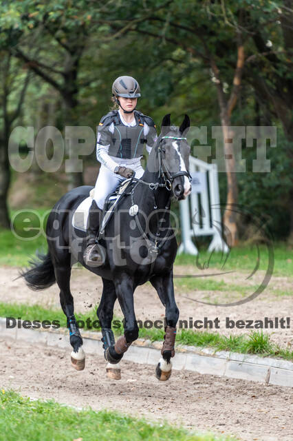 Goldene Schärpe 2020 - Pferde