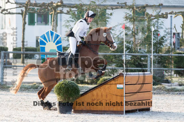 Eventing Langenfeld 2018