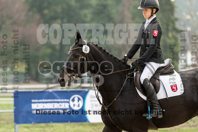 Goldene Schärpe 2020 - Pferde