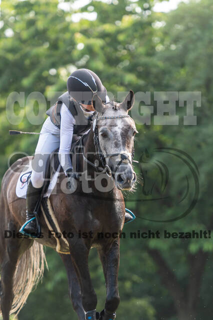 Goldene Schärpe 2021 - Ponys