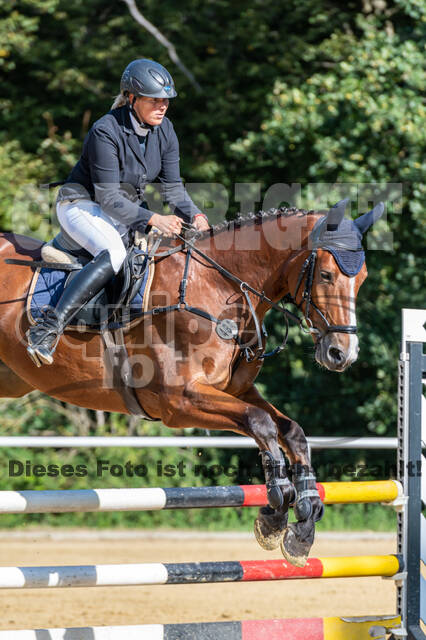 RFV Dinslaken-Hiesfeld (Herbstturnier)