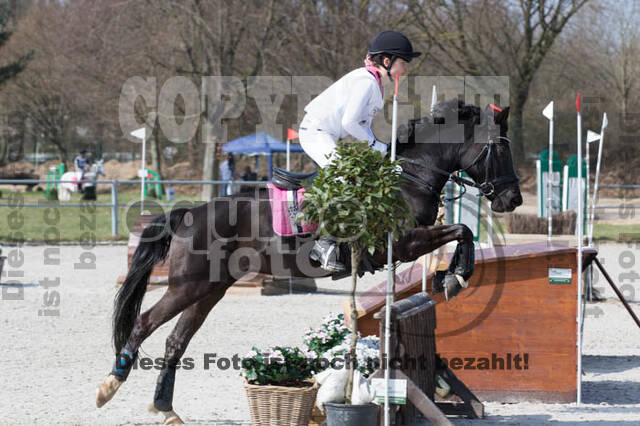 Eventing Langenfeld 2018