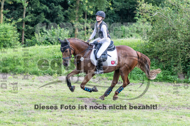Goldene Schärpe 2021 - Ponys