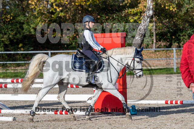 IGV Lehrgang der Sieger der Cups mit Frank Ostholt
