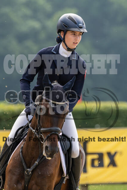 Goldene Schärpe 2021 - Ponys
