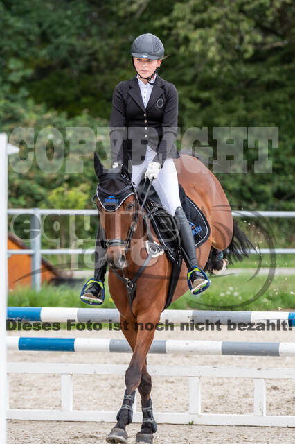 Late-Entry-Vielseitigkeit Langenfeld (06.+07.07.2020)