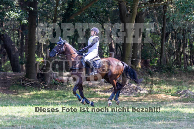 Late-Entry Vielseitigkeit Hamminkeln/Wesel (01.+02.08.2020)